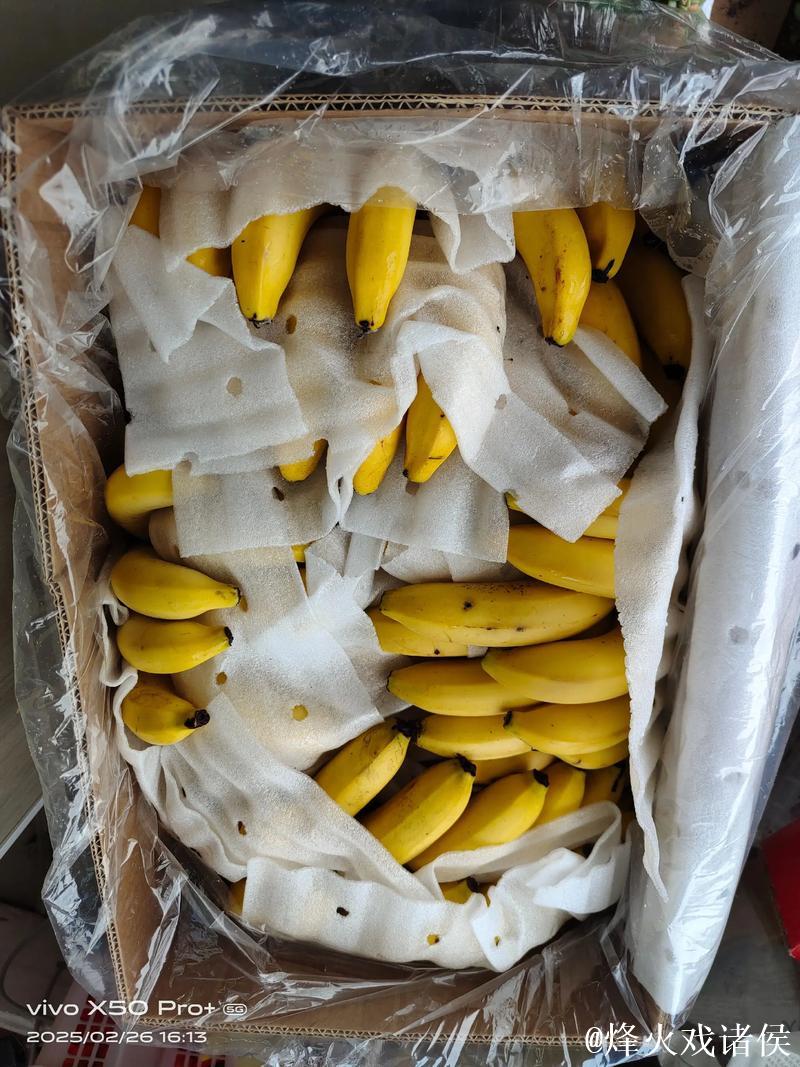 香蕉视频国产 香蕉视频国产