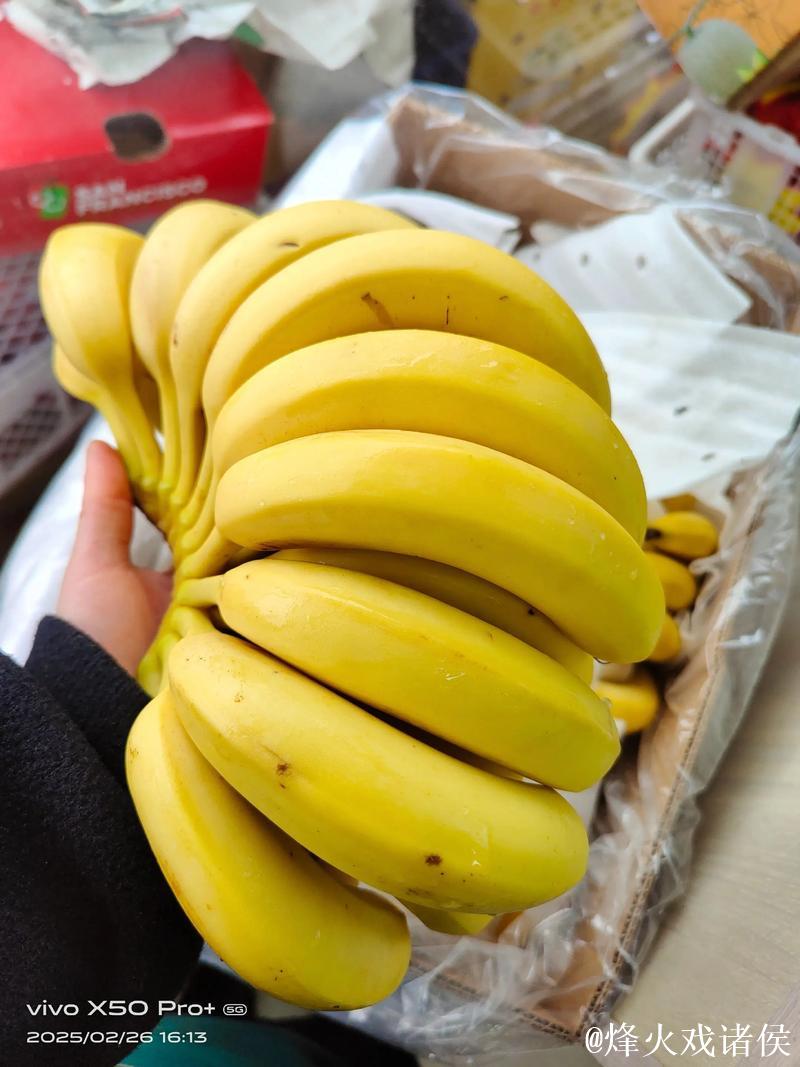 香蕉视频国产 香蕉视频国产